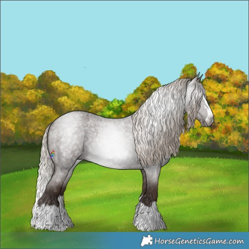 Horse Color:Gray Silver Blue Roan Splash 