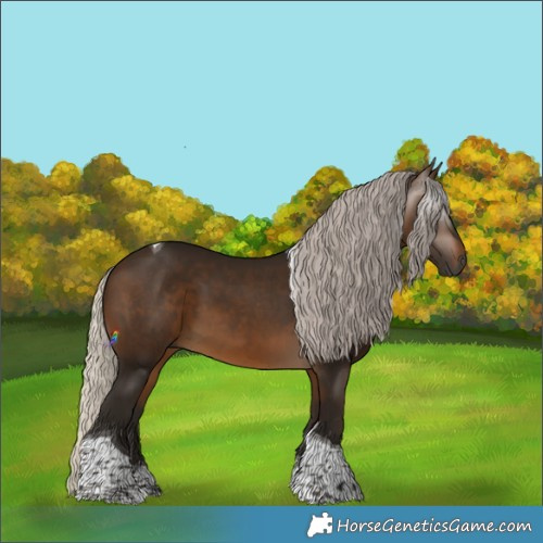 Horse Color:Gray Silver Buckskin Tobiano Rabicano 