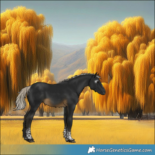 Horse Color:Gray Silver Buckskin Tobiano Frame Rabicano 