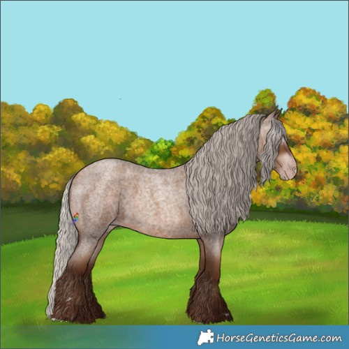 Horse Color:Gray Silver Sable Champagne Roan 