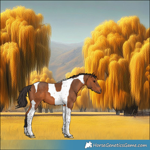 Horse Color:Bay Tobiano 