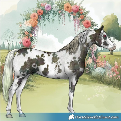 Horse Color:White Spotted Midnight Chocolate Silver Grullo Chinchilla Ice Onyx Sabino Brindle 