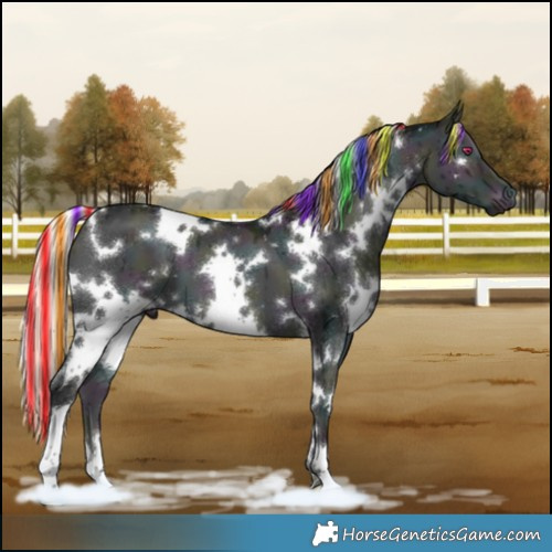 Horse Color:Painted White Spotted Midnight Silver Grullo Chinchilla Onyx Brindle 