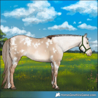 Horse Color:White Spotted Liver Red Dun Pearl Rabicano