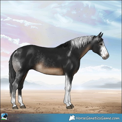 Horse Color:Gray Brown Sabino Tobiano Rabicano 