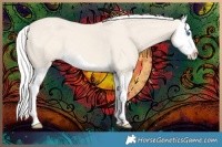 Horse Color:Silver Smoky Creme Dun Splash 