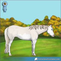 Horse Color:Smoky Creme Dun Splash 