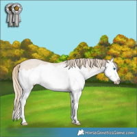 Horse Color:Smoky Creme Dun Splash