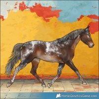 Horse Color:Gray Liver Chestnut Mushroom Tobiano Rabicano