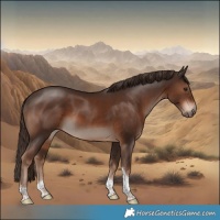 Horse Color:White Spotted Liver Chestnut Tobiano 