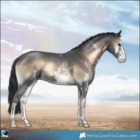 Horse Color:Brown Onyx Sabino Rabicano