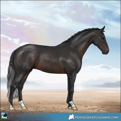 Horse Color:Brown 