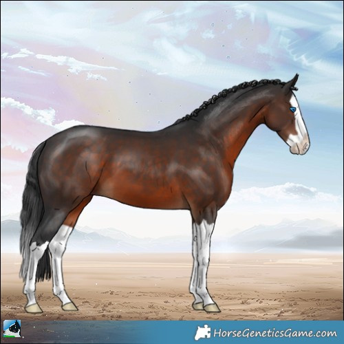 Horse Color:Brown Splash