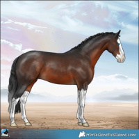 Horse Color:Brown Splash 