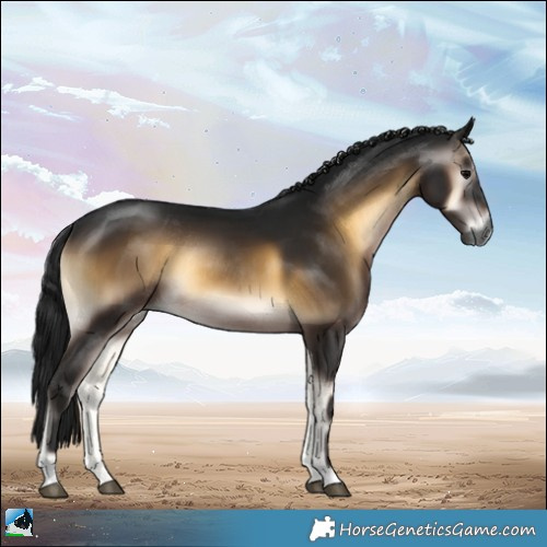 Horse Color:Gray Brown Onyx Rabicano 