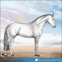 Horse Color:Gray Brown Onyx Rabicano 
