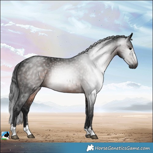 Horse Color:Gray Brown Mushroom Rabicano 