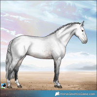 Horse Color:Gray Brown Mushroom Rabicano 