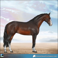 Horse Color:Bay Mushroom Sabino