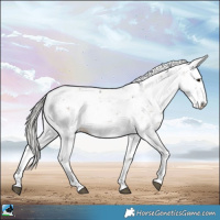 Horse Color:Liver Red Dun Mushroom Sabino Rabicano 