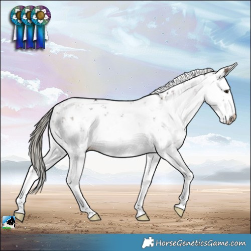 Horse Color:Liver Red Dun Mushroom Sabino Splash Rabicano Brindle 