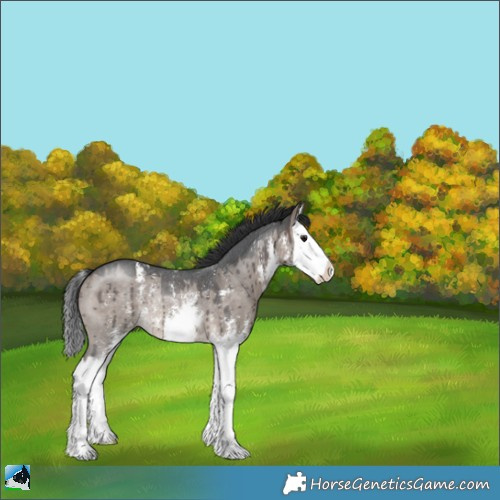 Horse Color:Brown Dun Mushroom Sabino Splash Rabicano Brindle 