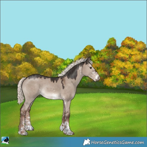 Horse Color:Liver Red Dun Mushroom Sabino Rabicano 