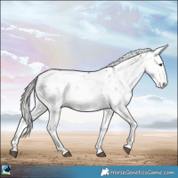 Horse Color:Liver Red Dun Mushroom Sabino Rabicano 