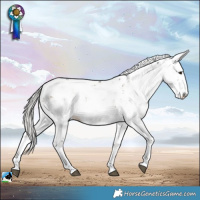 Horse Color:Liver Red Dun Mushroom Sabino Rabicano