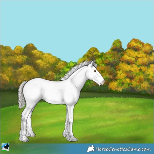 Horse Color:Gold Champagne Onyx Mushroom Sabino Rabicano 
