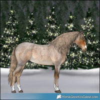 Horse Color:Chocolate Palomino Roan 
