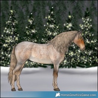 Horse Color:Chocolate Palomino Roan 