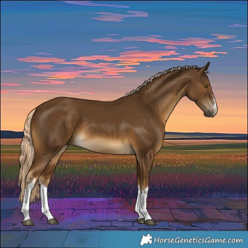 Horse Color:White Spotted Chocolate Palomino 