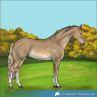 Horse Color:White Spotted Chocolate Palomino Dun 
