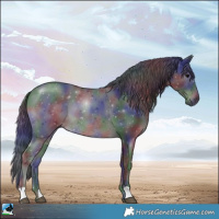 Horse Color:Nacre Black 