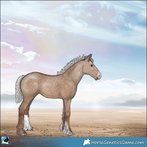 Horse Color:Silver Grullo Sabino 