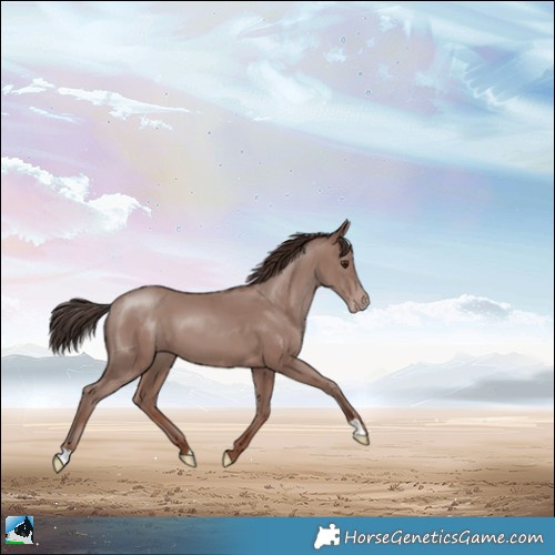 Horse Color:Classic Champagne Mushroom 