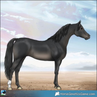 Horse Color:Black Mushroom 