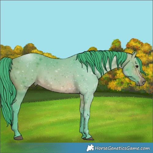 Horse Color:Watercolor Bay 