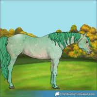 Horse Color:Watercolor Bay 