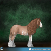 Horse Color:White Spotted Black Pearl Splash