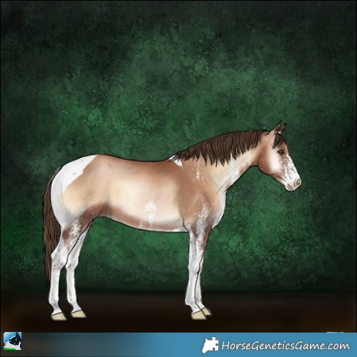Horse Color:White Spotted Liver Red Onyx Pearl Tobiano