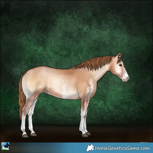 Horse Color:White Spotted Bay Pearl Onyx