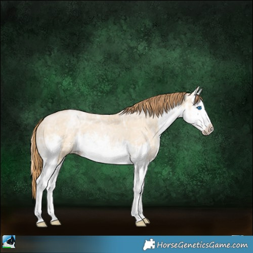 Horse Color:White Spotted Smoky Grullo Ice Pearl Splash 