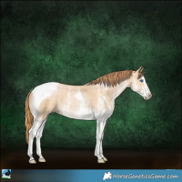 Horse Color:White Spotted Smoky Black Pearl Splash Tobiano 