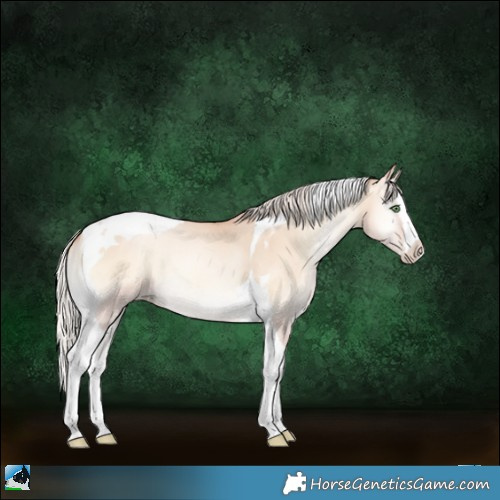 Horse Color:White Spotted Silver Classic Champagne Pearl Onyx Splash Tobiano 