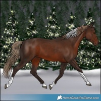 Horse Color:Liver Chestnut Tobiano 