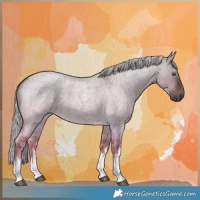Horse Color:White Spotted Chocolate Palomino Roan Dun Rabicano