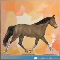 Horse Color:Liver Red Dun Sabino Tobiano Rabicano