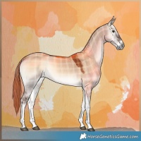 Horse Color:Plaid Liver Red Dun Onyx Tobiano Rabicano